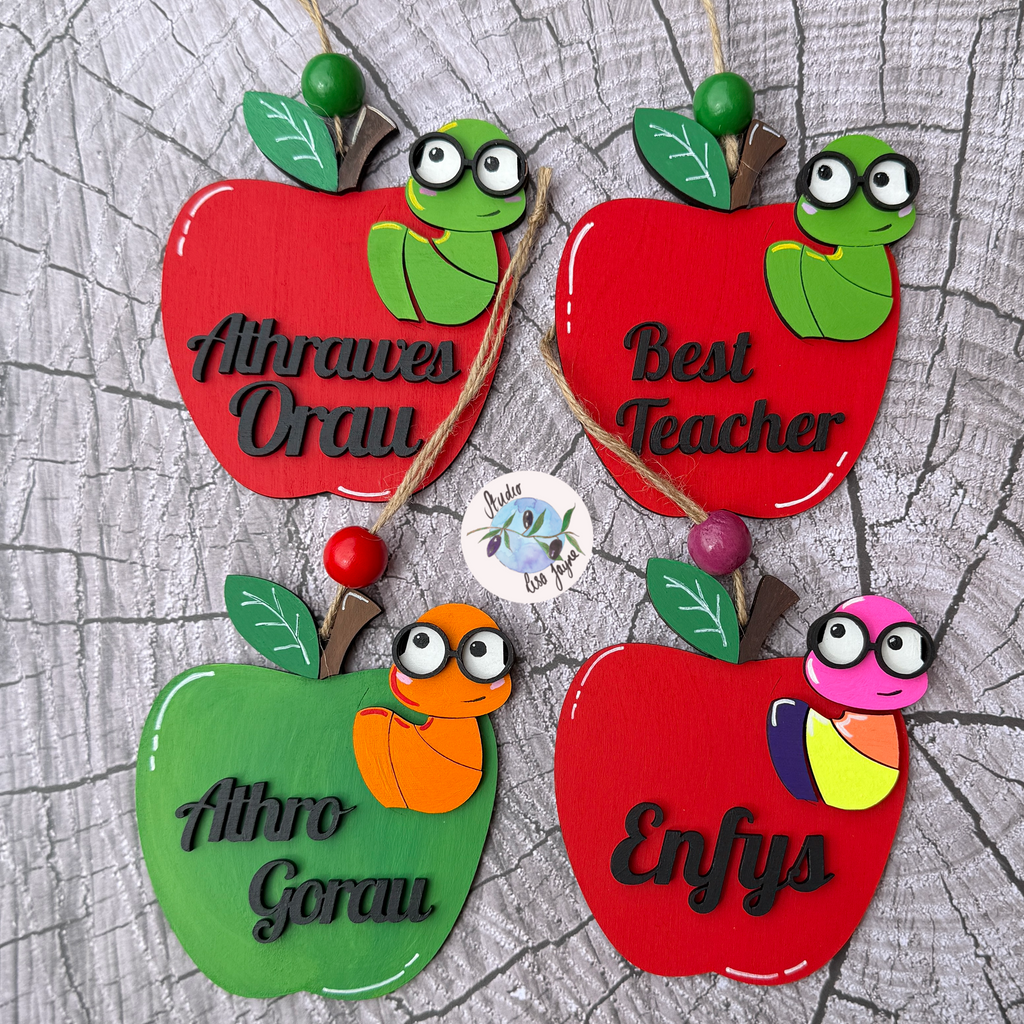 Welsh Best Teacher Athro Gorau Athrawes Orau Diolch Apple End of Term Handmade Hanging Gift Handpainted Enfys Rainbow