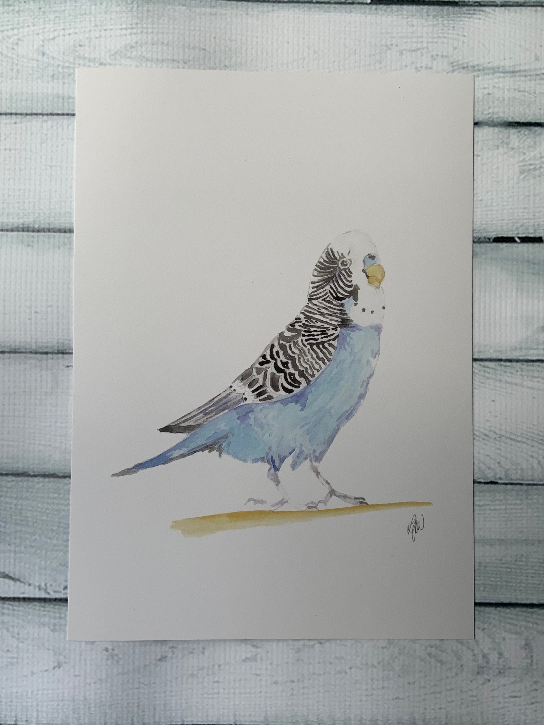 Budgerigar Watercolour print
