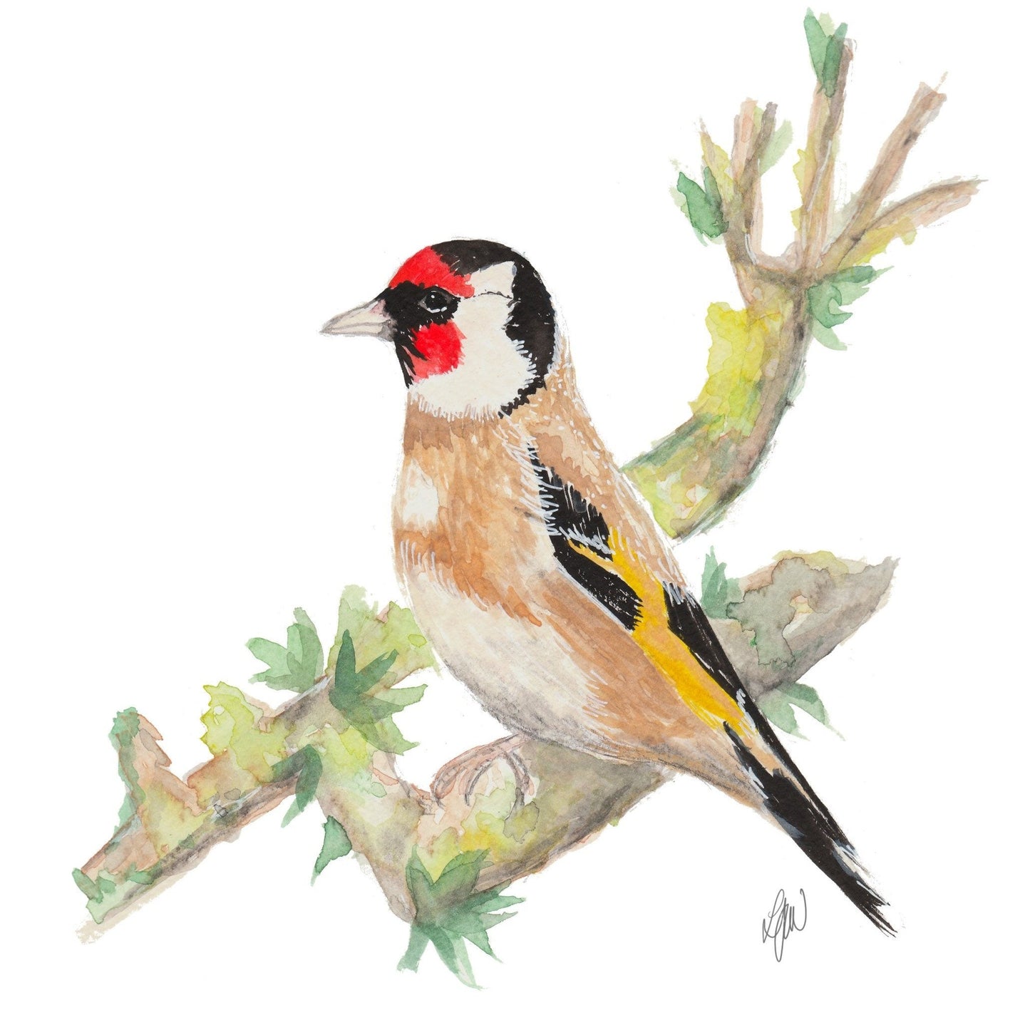 Goldfinch watercolour print