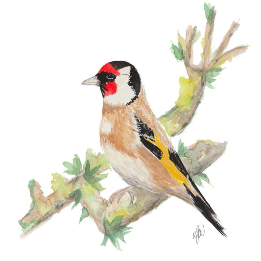 Goldfinch watercolour print