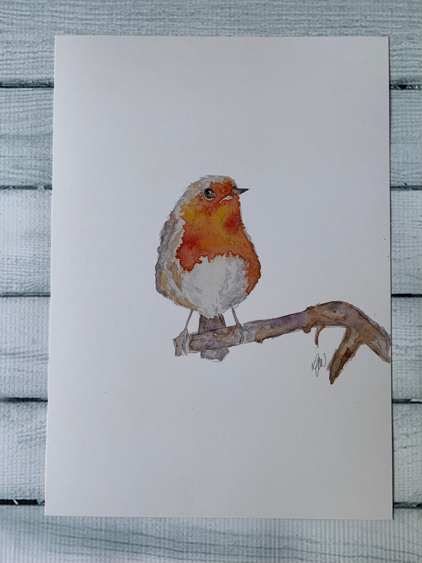 Robin watercolour print