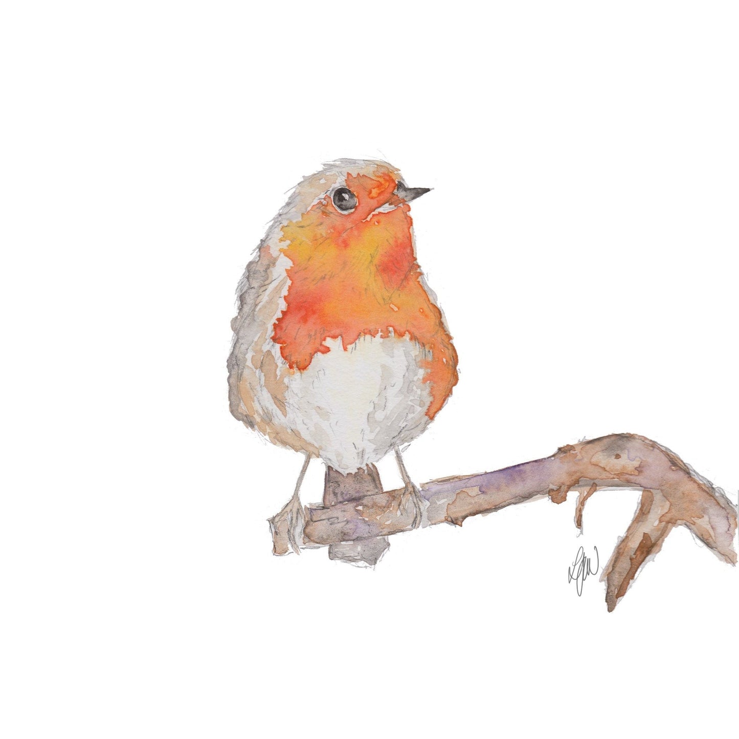 Robin watercolour print