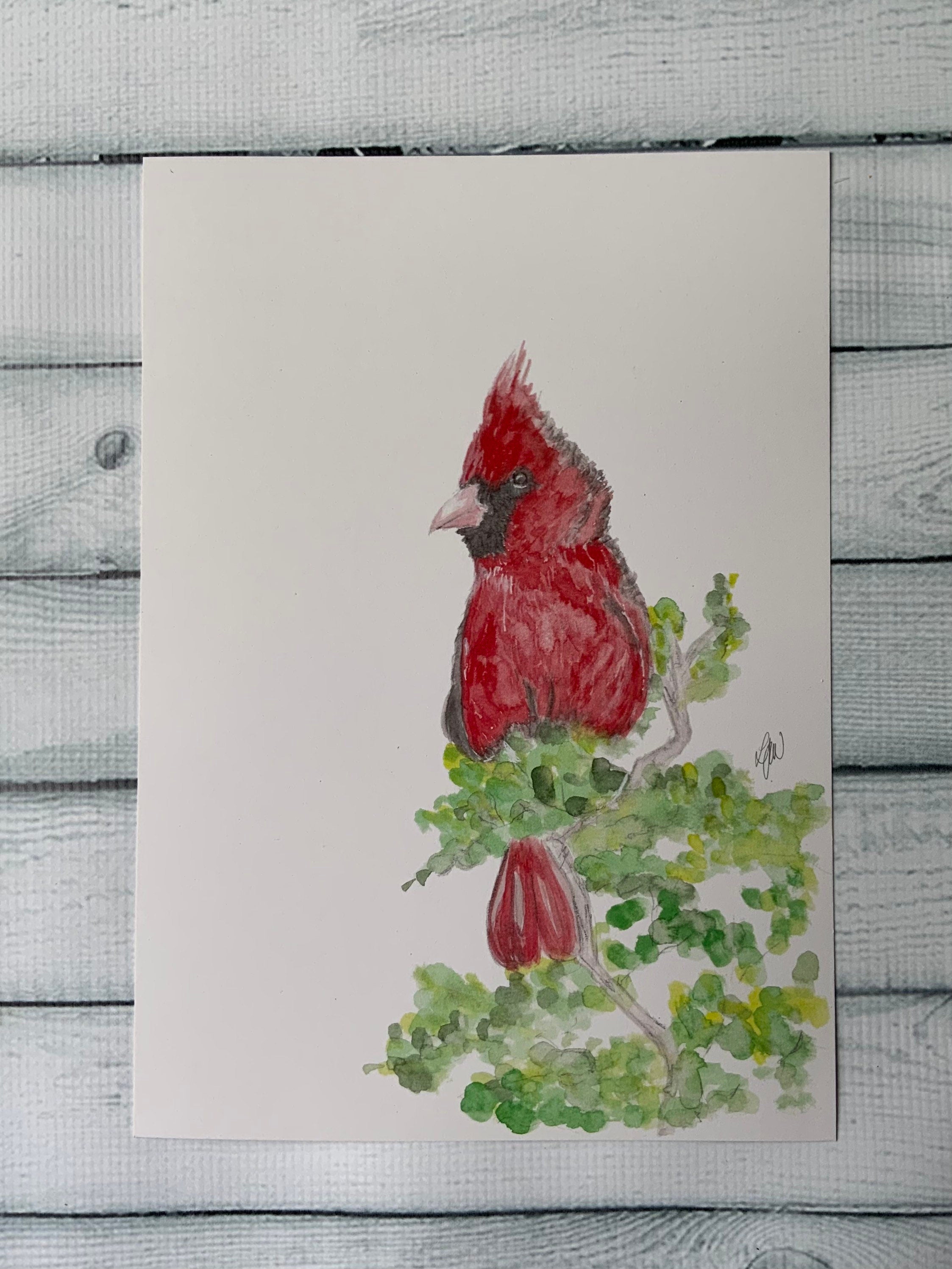Cardinal watercolour print