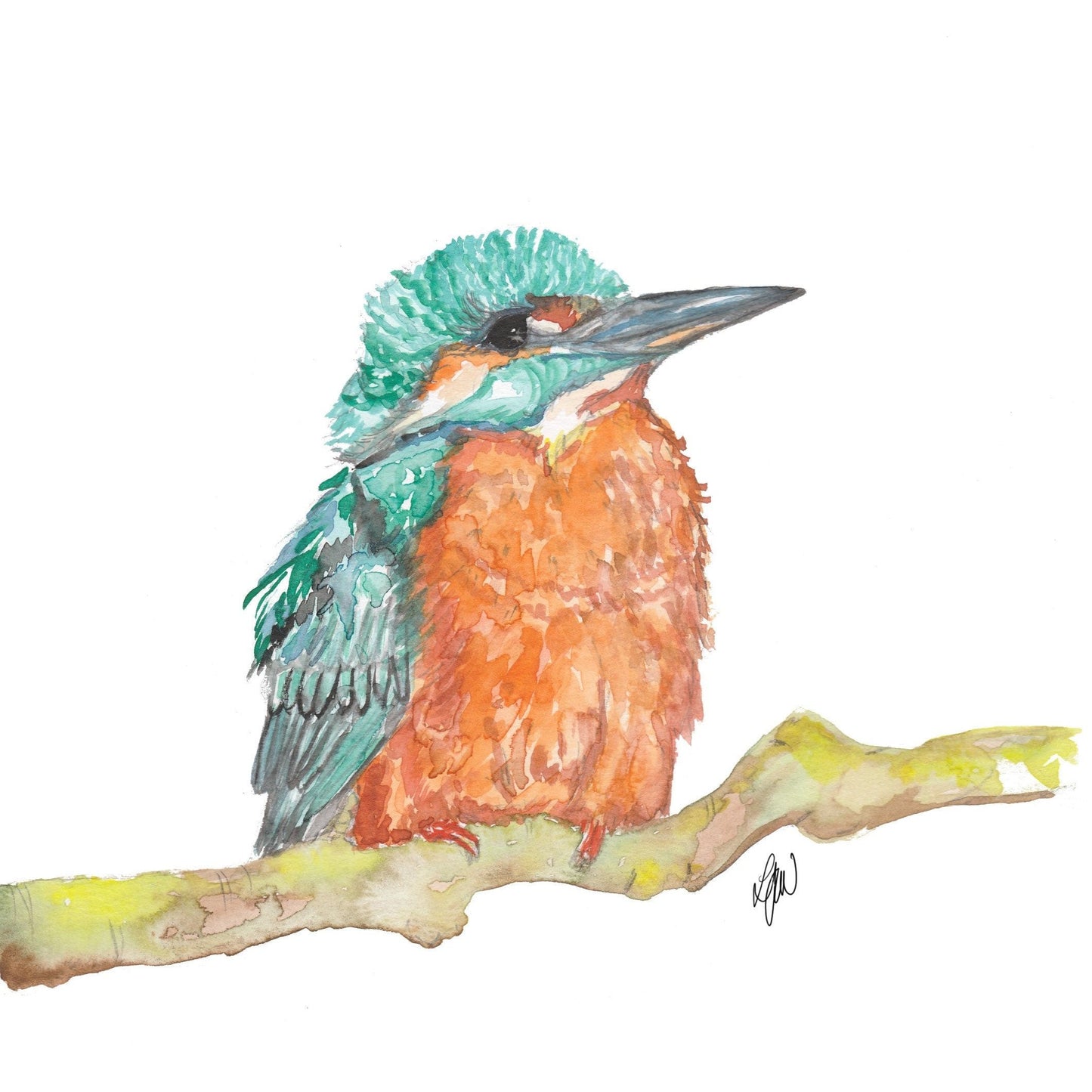 Kingfisher watercolour print