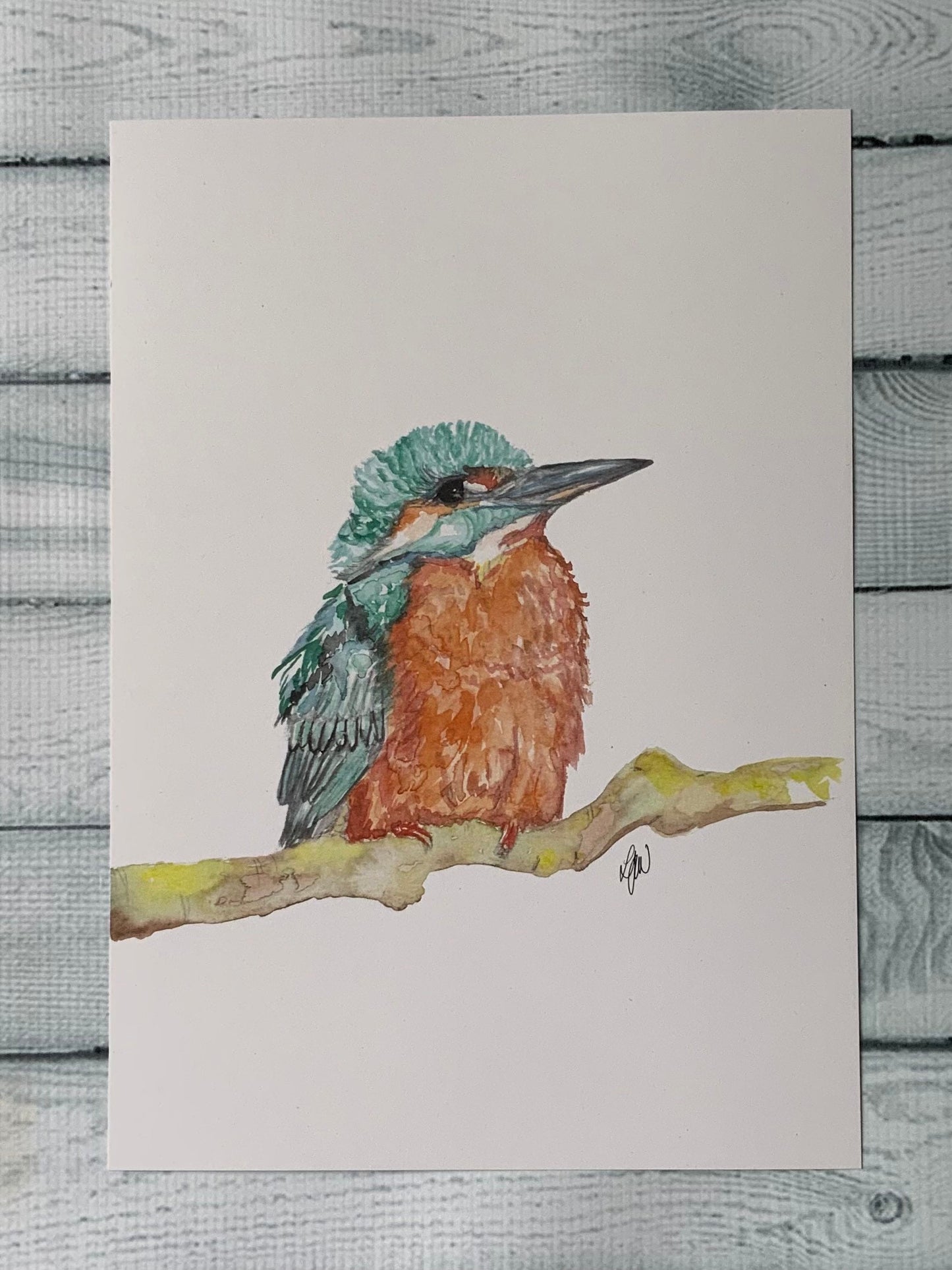 Kingfisher watercolour print