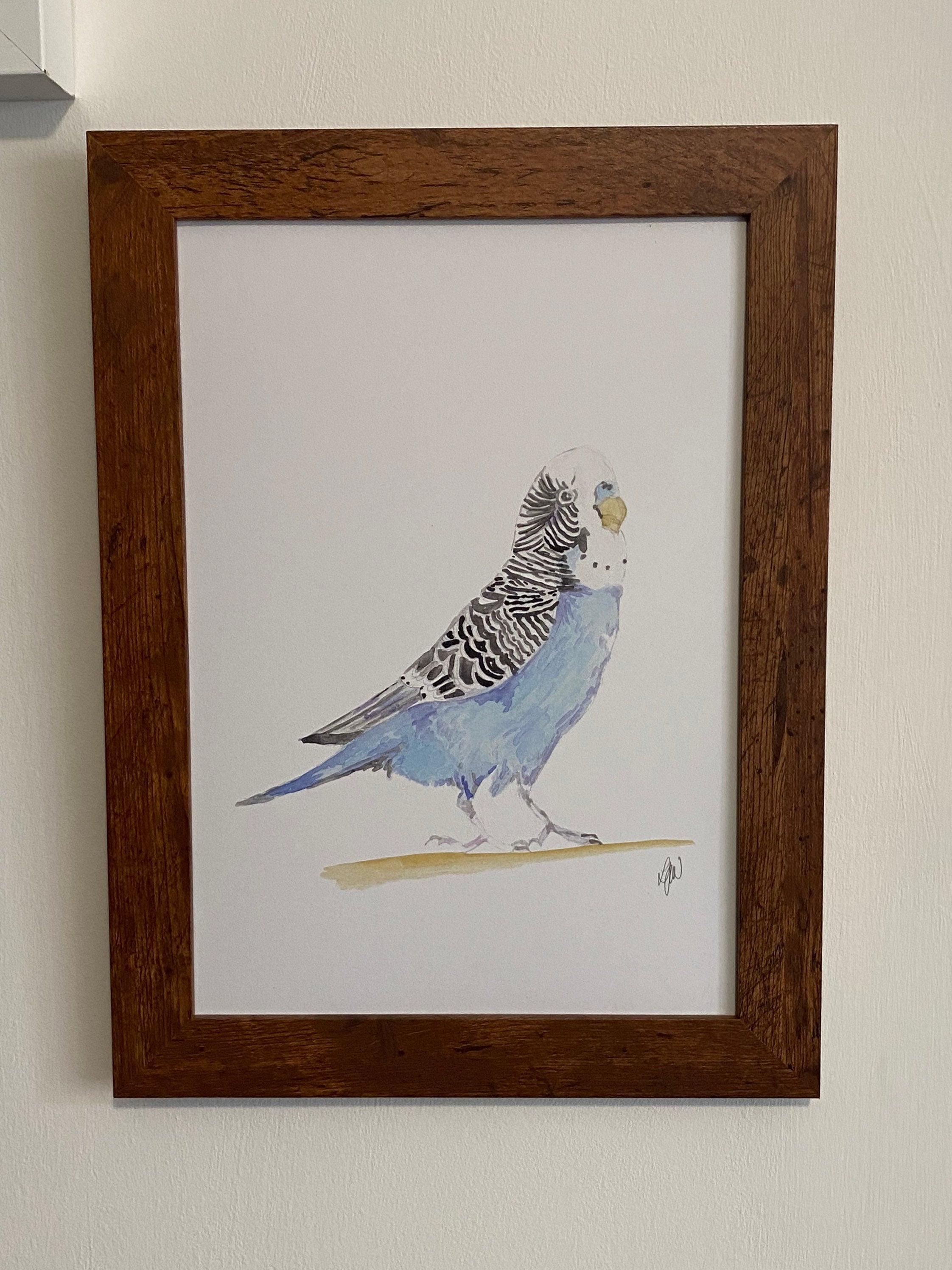 Budgerigar Watercolour print