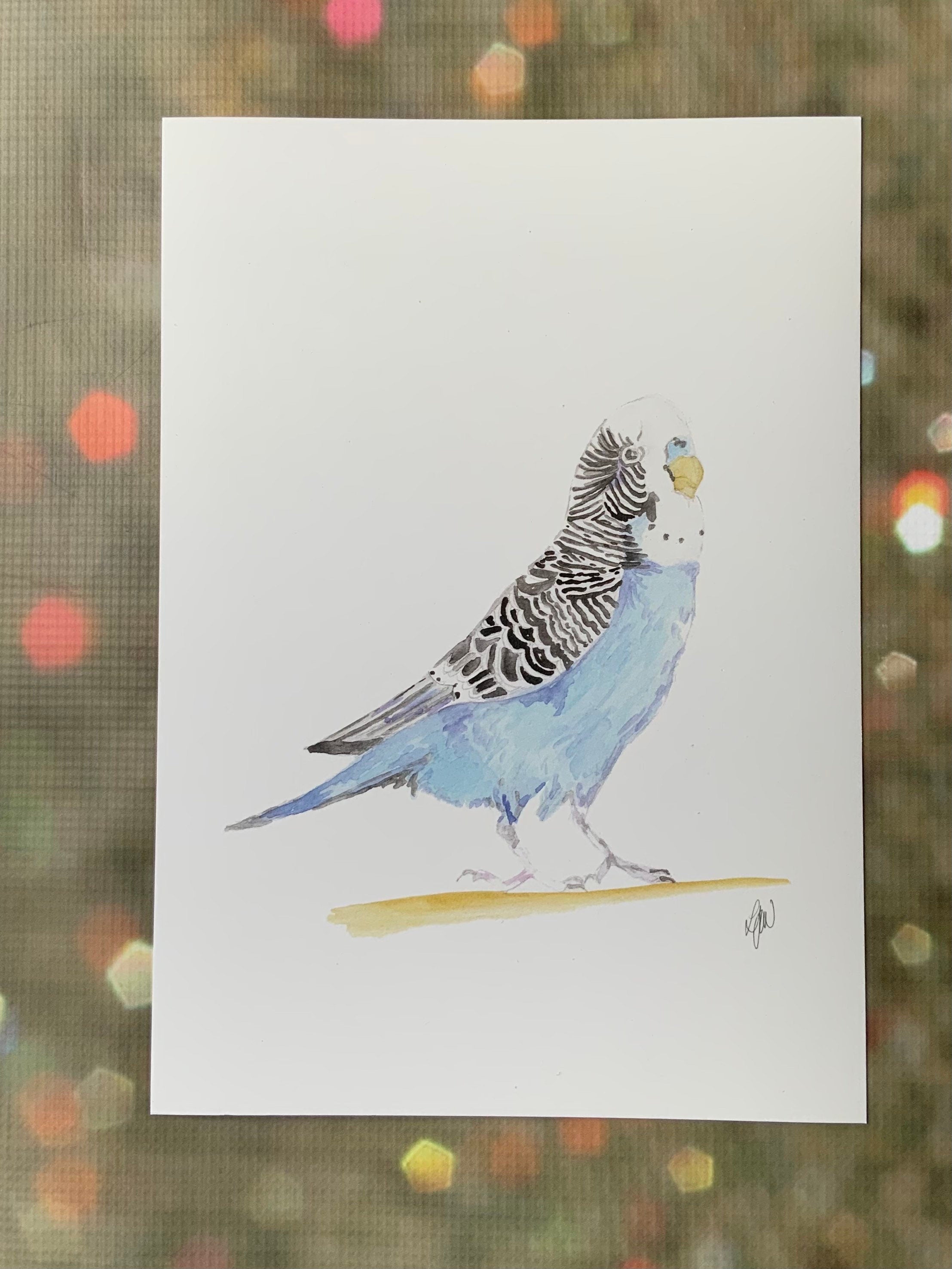 Budgerigar Watercolour print