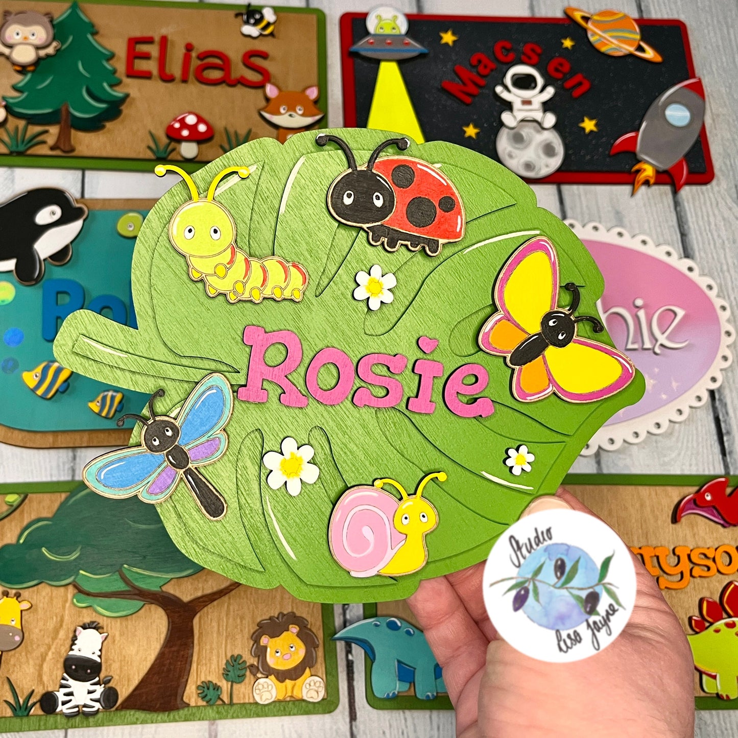 Children's Kids Bedroom Name Plate Plaque Bugs, Insects, Leaf.  Bright Colourful - customised, personalised hand painted handmade - Held in front of design collection