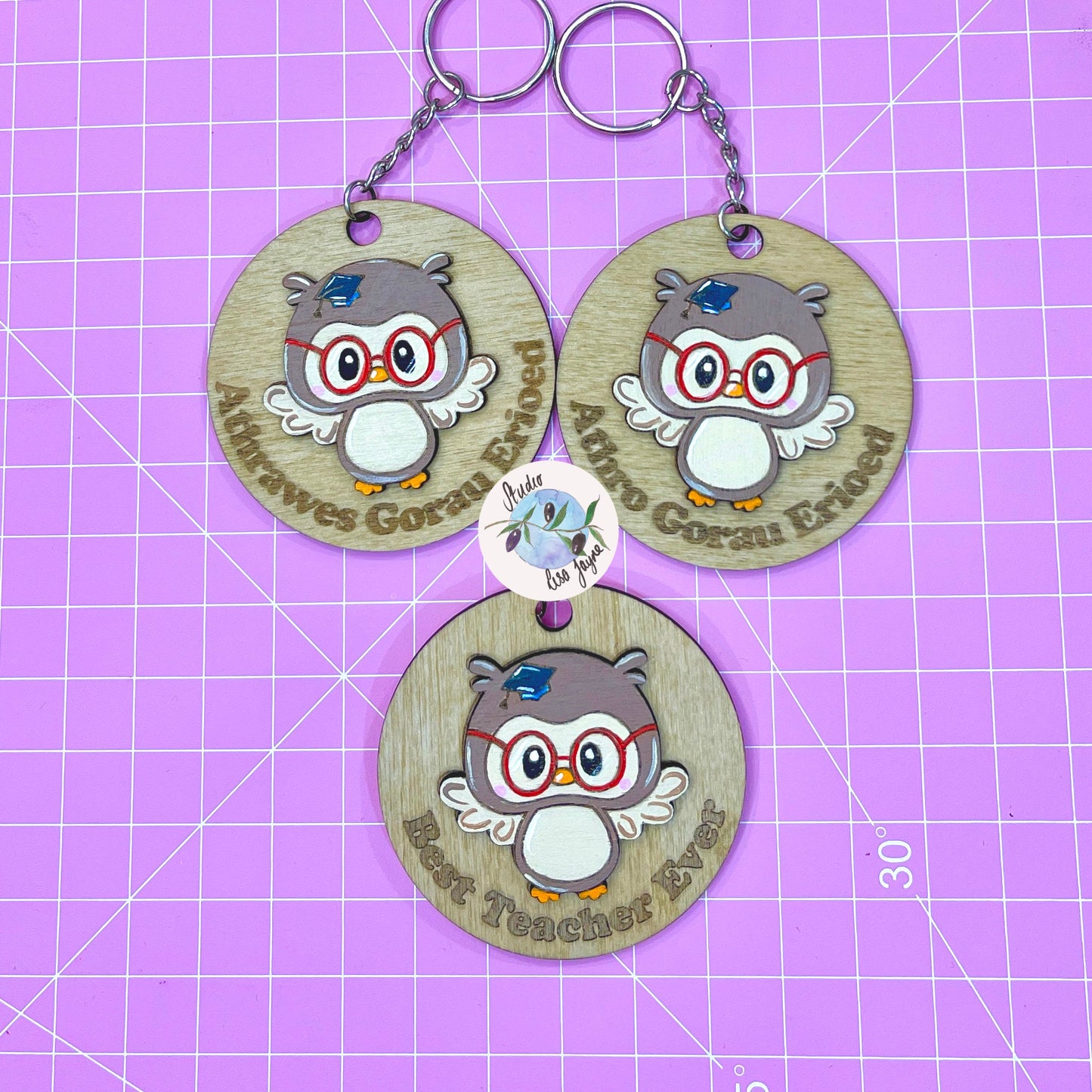 Best Teacher Ever Handpainted Keyring - Wise Owl