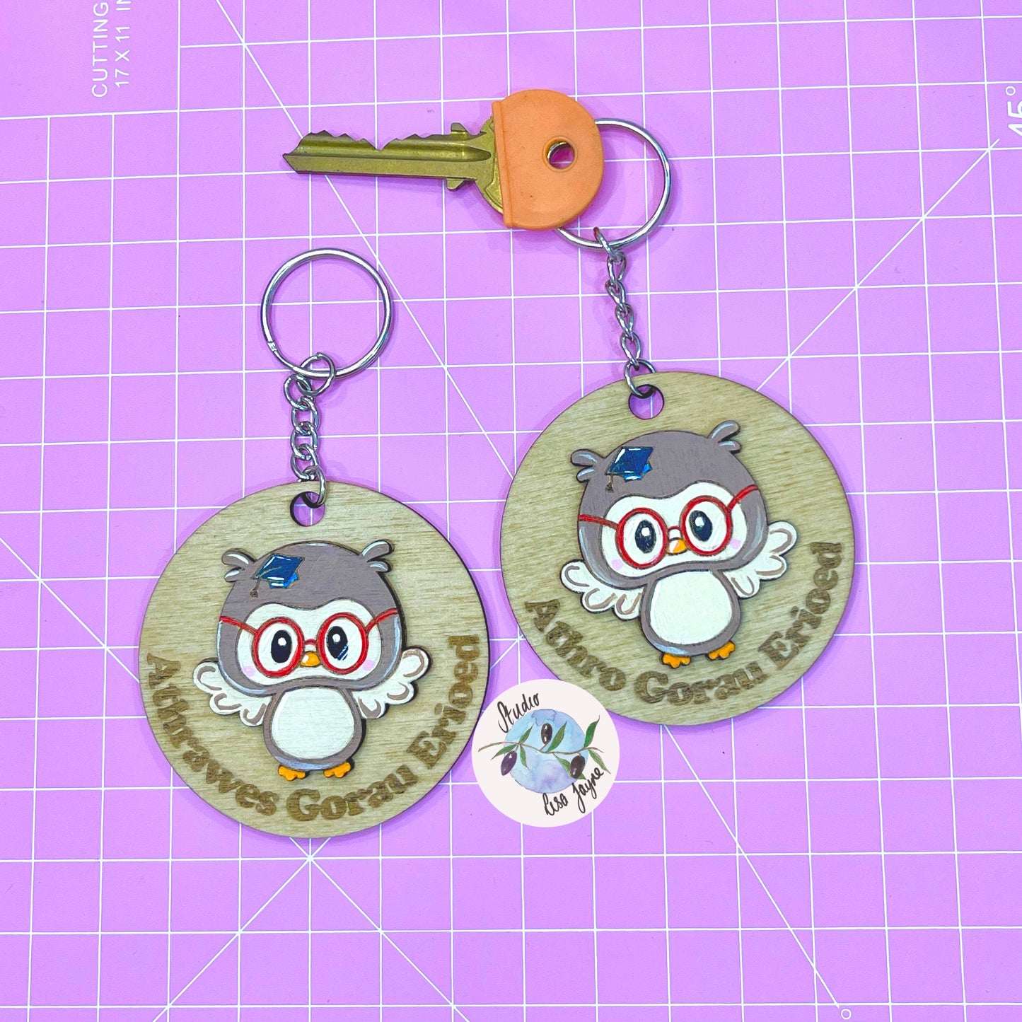 Welsh Best Teacher Ever|Athro Gorau Erioed|Athrawes Gorau Erioed Handpainted Wooden Keyring - Wise Owl