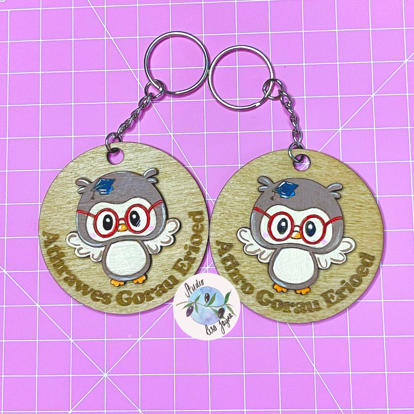 Welsh Best Teacher Ever|Athro Gorau Erioed|Athrawes Gorau Erioed Handpainted Wooden Keyring - Wise Owl